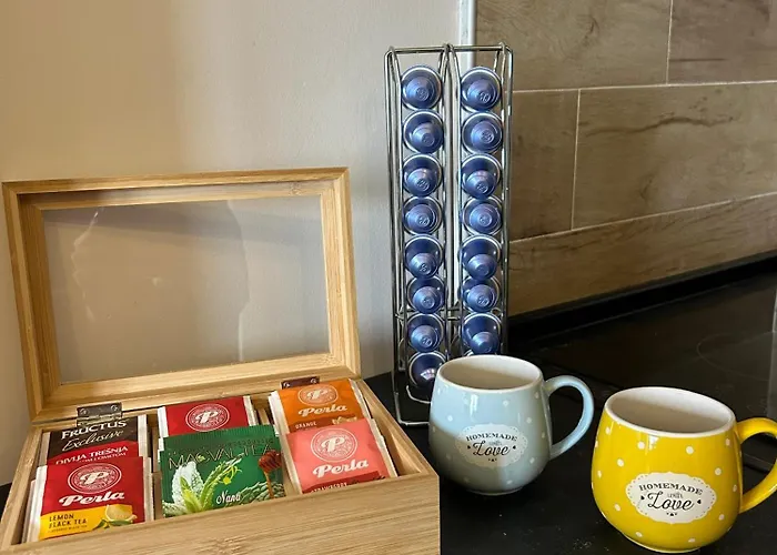 Milmari Bonita Nlux87 公寓 科帕奥尼克